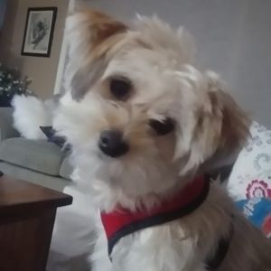 Meet your Posher, Lorrie